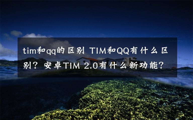 tim和qq的區(qū)別 TIM和QQ有什么區(qū)別？安卓TIM 2.0有什么新功能？