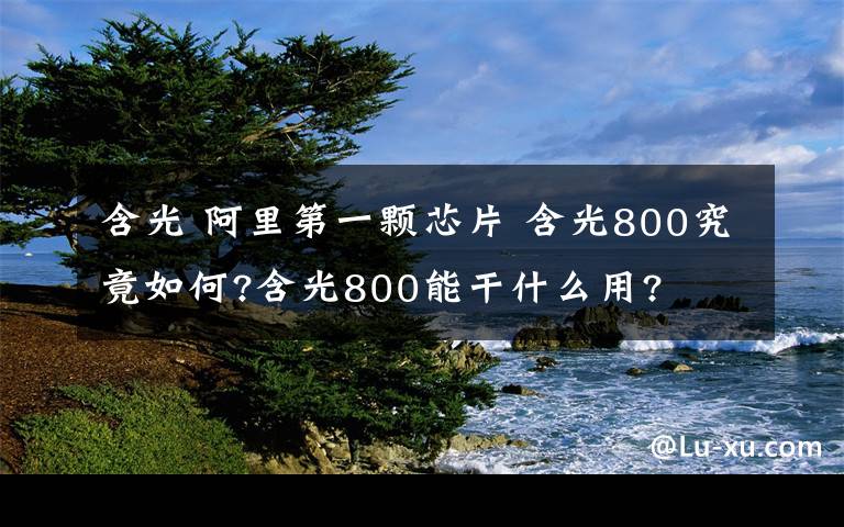 含光 阿里第一顆芯片 含光800究竟如何?含光800能干什么用?