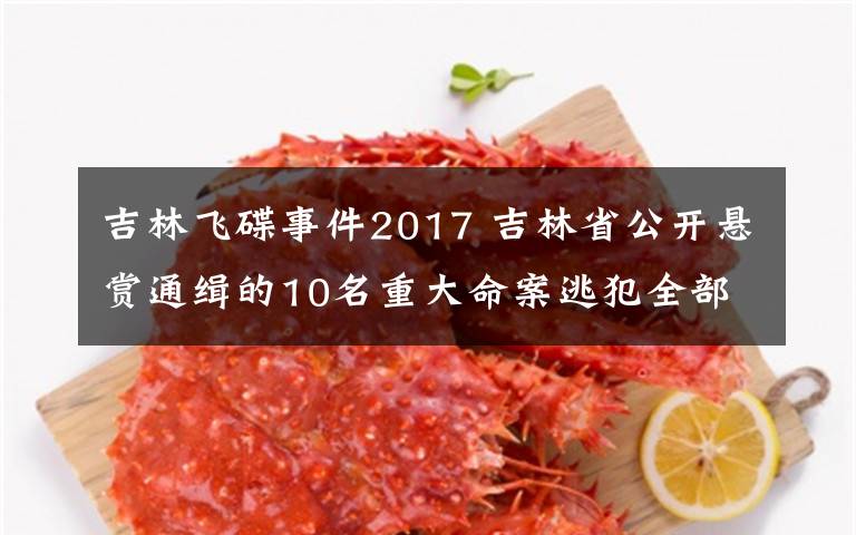 吉林飛碟事件2017 吉林省公開(kāi)懸賞通緝的10名重大命案逃犯全部落網(wǎng)