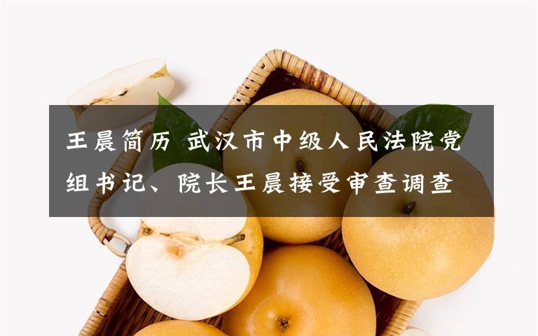 王晨簡歷 武漢市中級人民法院黨組書記、院長王晨接受審查調(diào)查