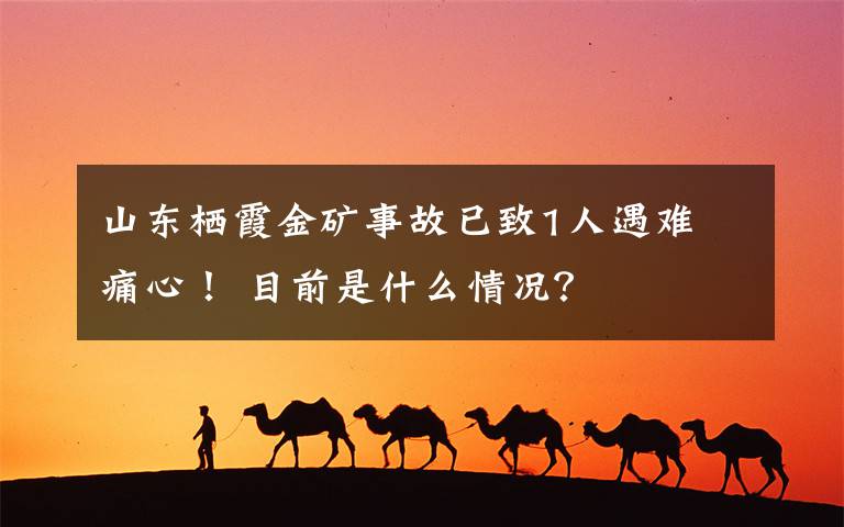 山東棲霞金礦事故已致1人遇難 痛心！ 目前是什么情況？