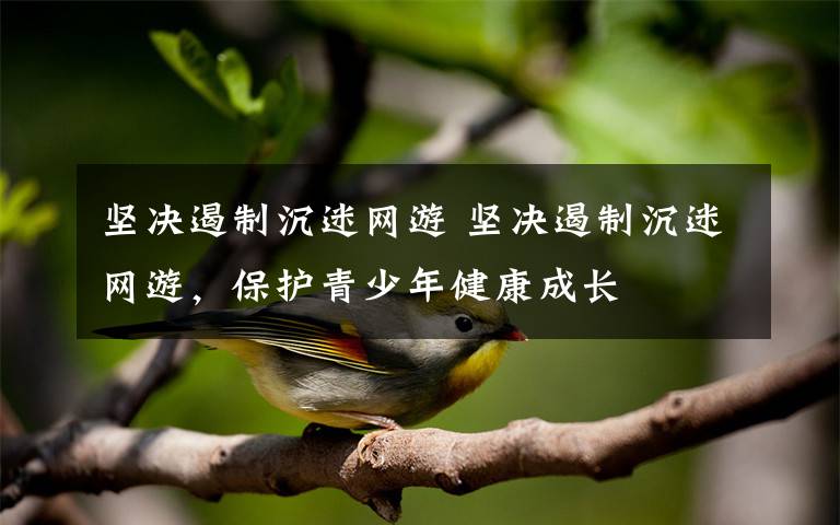 堅(jiān)決遏制沉迷網(wǎng)游 堅(jiān)決遏制沉迷網(wǎng)游，保護(hù)青少年健康成長(zhǎng)