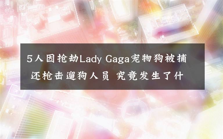 5人因搶劫Lady Gaga寵物狗被捕 還槍擊遛狗人員 究竟發(fā)生了什么?