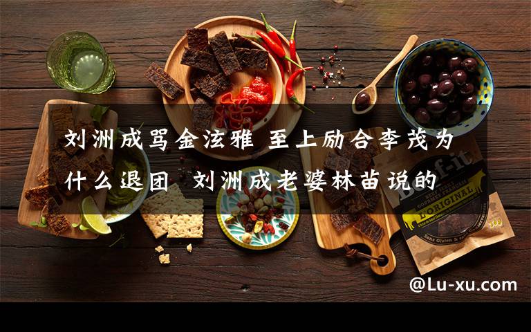 劉洲成罵金泫雅 至上勵(lì)合李茂為什么退團(tuán)  劉洲成老婆林苗說的是真的嗎