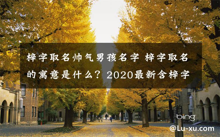 梓字取名帥氣男孩名字 梓字取名的寓意是什么？2020最新含梓字起名男孩女孩名字推薦