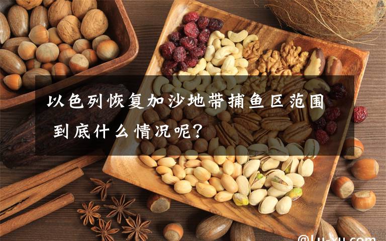 以色列恢復(fù)加沙地帶捕魚(yú)區(qū)范圍 到底什么情況呢？