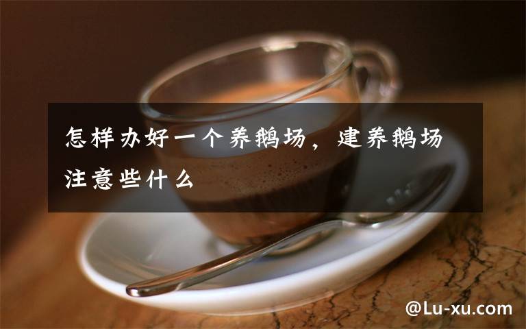 怎樣辦好一個(gè)養(yǎng)鵝場(chǎng)，建養(yǎng)鵝場(chǎng)注意些什么