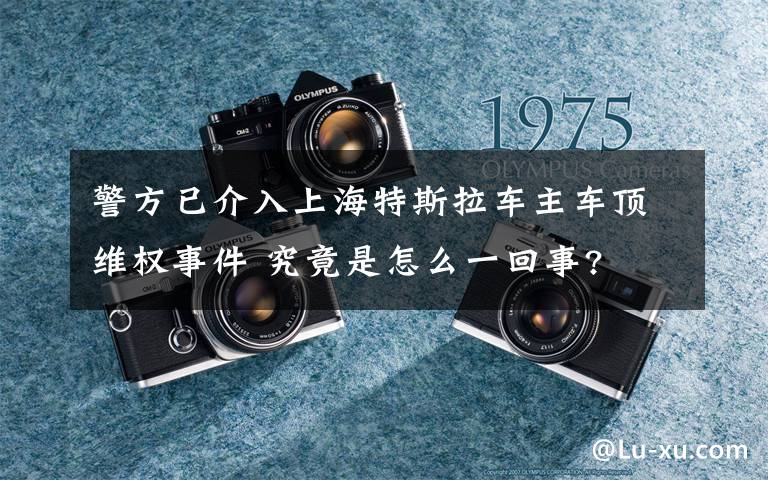 警方已介入上海特斯拉車主車頂維權(quán)事件 究竟是怎么一回事?