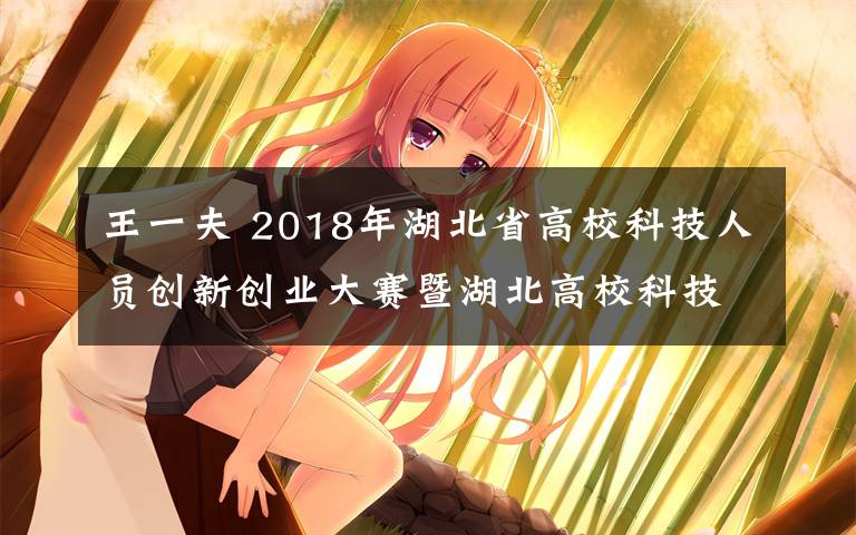 王一夫 2018年湖北省高?？萍既藛T創(chuàng)新創(chuàng)業(yè)大賽暨湖北高校科技人員創(chuàng)新創(chuàng)業(yè)論壇順利召開