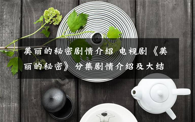 美麗的秘密劇情介紹 電視劇《美麗的秘密》分集劇情介紹及大結(jié)局劇情介紹