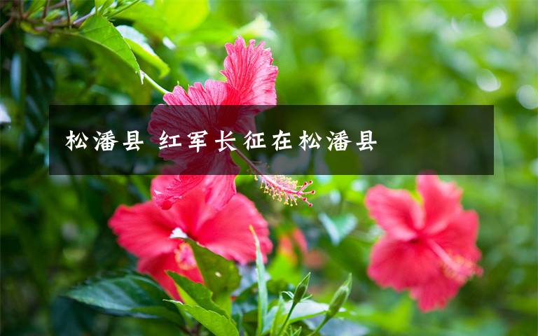 松潘縣 紅軍長征在松潘縣