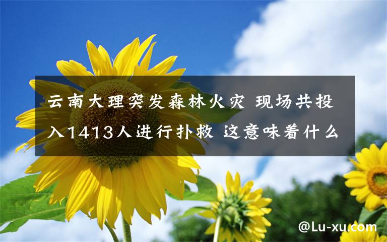 云南大理突發(fā)森林火災(zāi) 現(xiàn)場(chǎng)共投入1413人進(jìn)行撲救 這意味著什么?