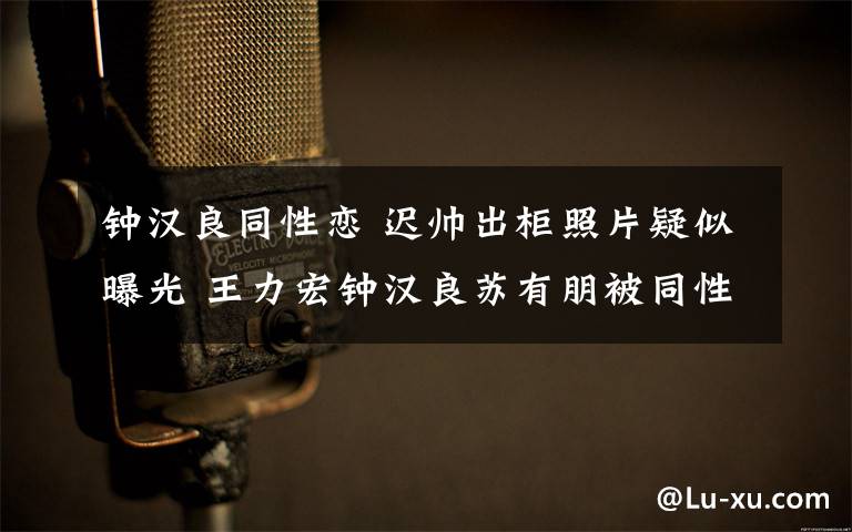 鐘漢良同性戀 遲帥出柜照片疑似曝光 王力宏鐘漢良蘇有朋被同性戀明星大盤點(diǎn)