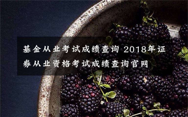 基金從業(yè)考試成績查詢 2018年證券從業(yè)資格考試成績查詢官網(wǎng)