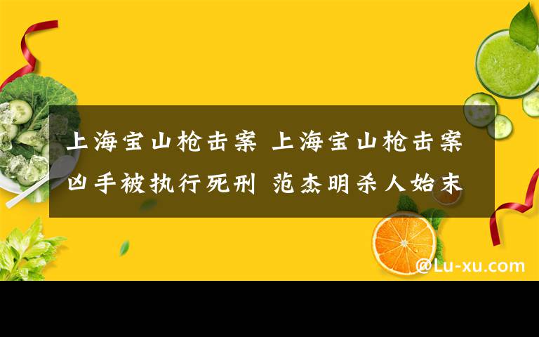 上海寶山槍擊案 上海寶山槍擊案兇手被執(zhí)行死刑 范杰明殺人始末