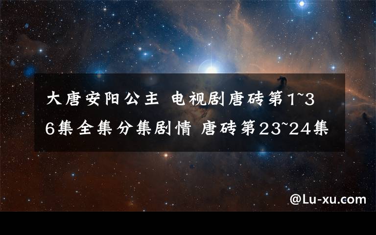 大唐安陽(yáng)公主 電視劇唐磚第1~36集全集分集劇情 唐磚第23~24集劇情預(yù)告