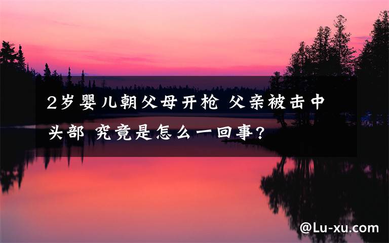 2歲嬰兒朝父母開槍 父親被擊中頭部 究竟是怎么一回事?