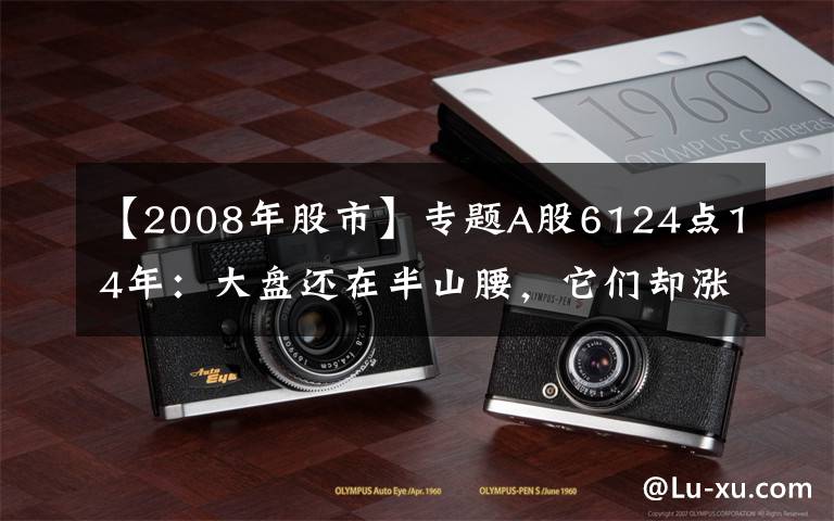 【2008年股市】專題A股6124點(diǎn)14年：大盤還在半山腰，它們卻漲勢驚人