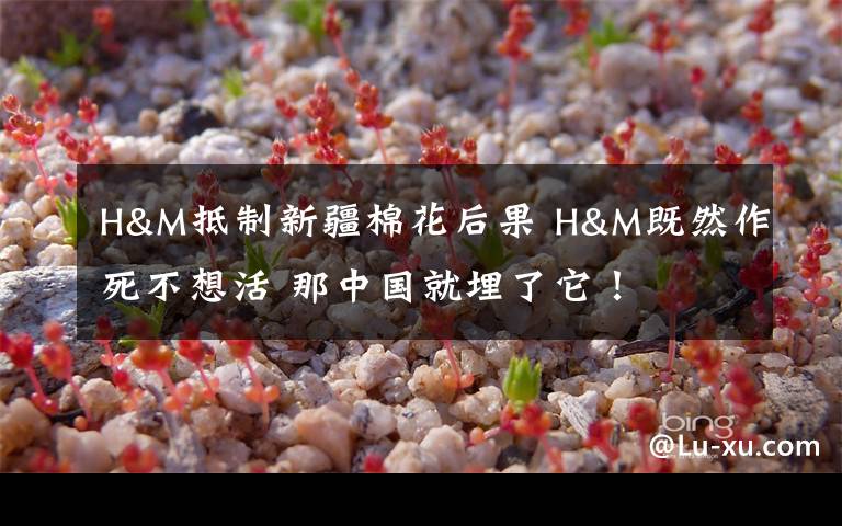 H&M抵制新疆棉花后果 H&M既然作死不想活 那中國就埋了它！