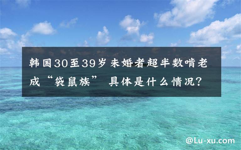 韓國30至39歲未婚者超半數(shù)啃老成“袋鼠族” 具體是什么情況？