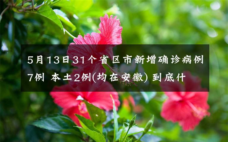 5月13日31個省區(qū)市新增確診病例7例 本土2例(均在安徽) 到底什么情況呢？