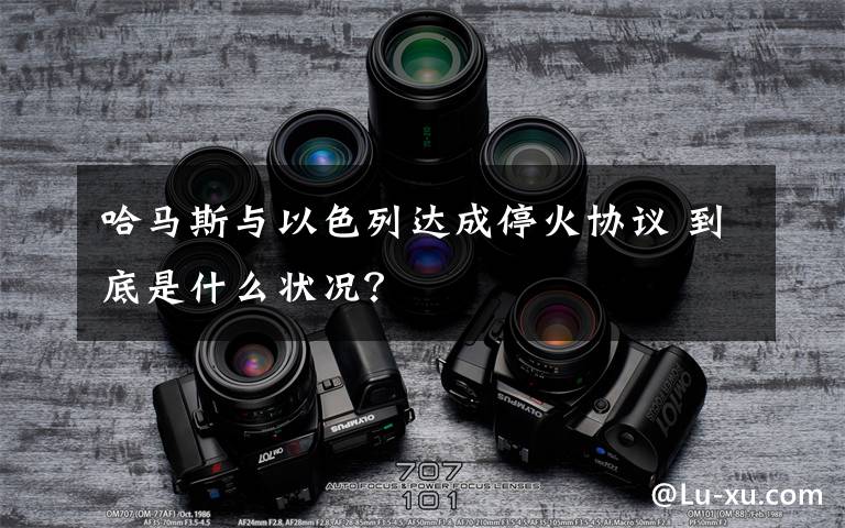 哈馬斯與以色列達(dá)成?；饏f(xié)議 到底是什么狀況？