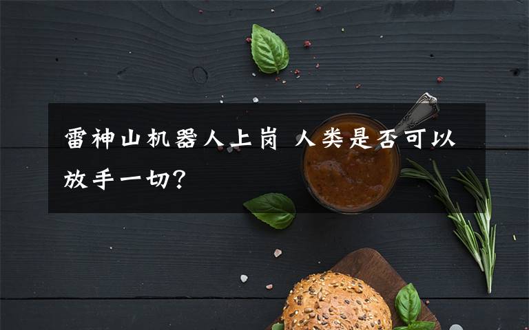 雷神山機(jī)器人上崗 人類是否可以放手一切？