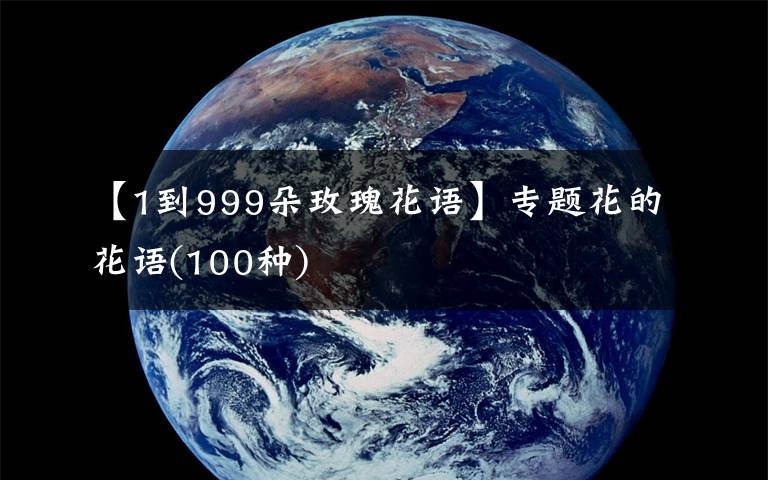 【1到999朵玫瑰花語】專題花的花語(100種)