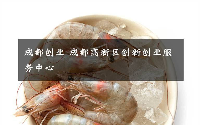 成都創(chuàng)業(yè) 成都高新區(qū)創(chuàng)新創(chuàng)業(yè)服務(wù)中心