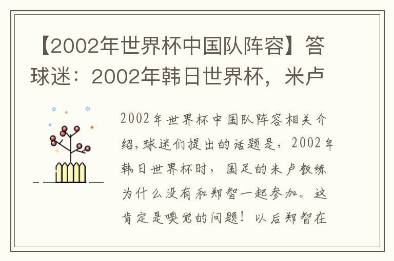 【2002年世界杯中國隊陣容】答球迷：2002年韓日世界杯，米盧為何沒有選擇帶鄭智呢？