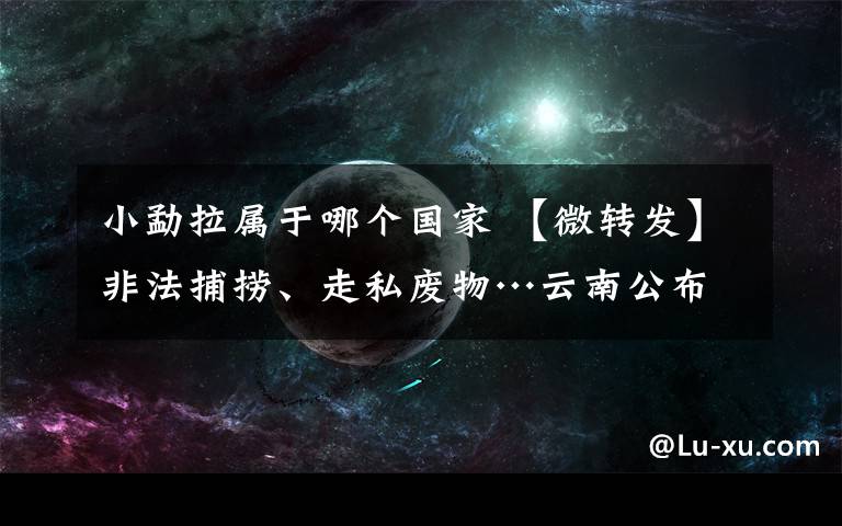 小勐拉屬于哪個國家 【微轉(zhuǎn)發(fā)】非法捕撈、走私廢物…云南公布2019年度環(huán)境資源十大典型案例