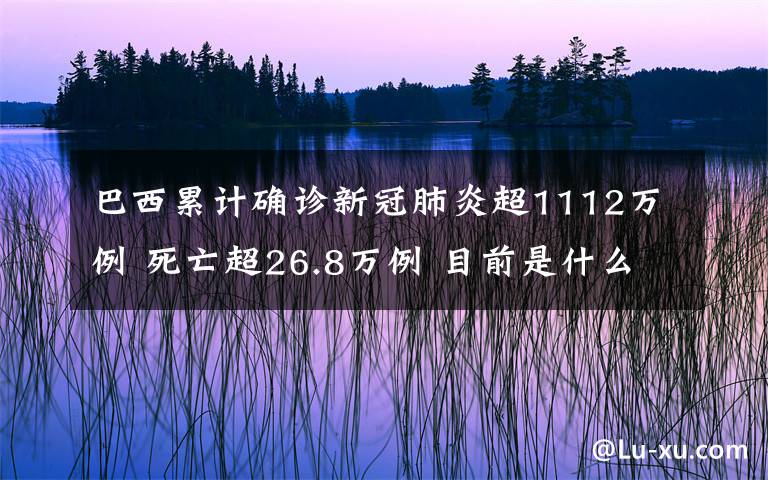 巴西累計確診新冠肺炎超1112萬例 死亡超26.8萬例 目前是什么情況？