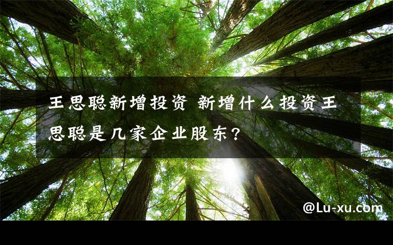 王思聰新增投資 新增什么投資王思聰是幾家企業(yè)股東?