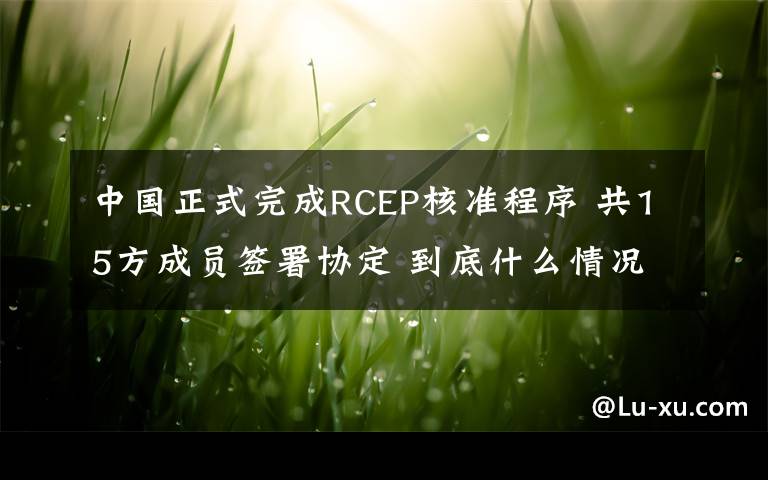 中國正式完成RCEP核準(zhǔn)程序 共15方成員簽署協(xié)定 到底什么情況呢？