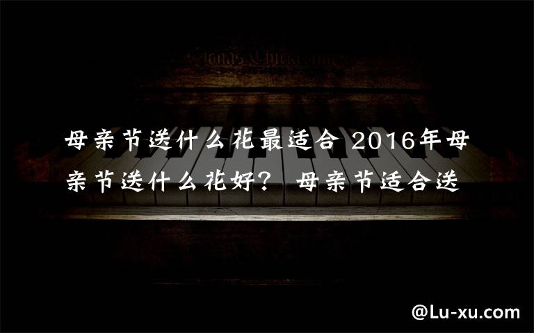 母親節(jié)送什么花最適合 2016年母親節(jié)送什么花好？ 母親節(jié)適合送給媽媽的鮮花及花語