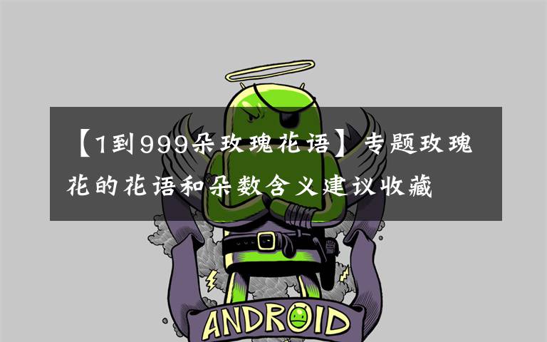 【1到999朵玫瑰花語】專題玫瑰花的花語和朵數(shù)含義建議收藏