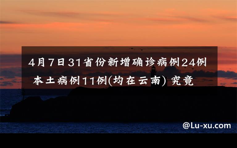 4月7日31省份新增確診病例24例 本土病例11例(均在云南) 究竟是怎么一回事?