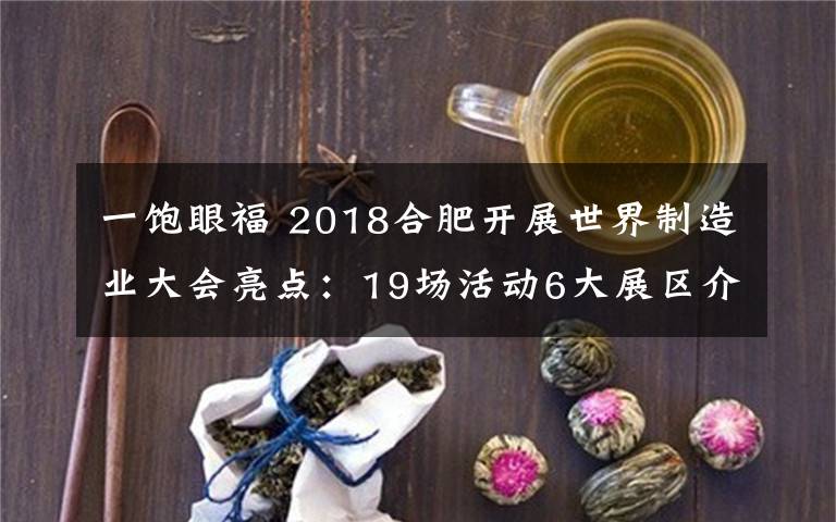 一飽眼福 2018合肥開展世界制造業(yè)大會(huì)亮點(diǎn)：19場(chǎng)活動(dòng)6大展區(qū)介紹