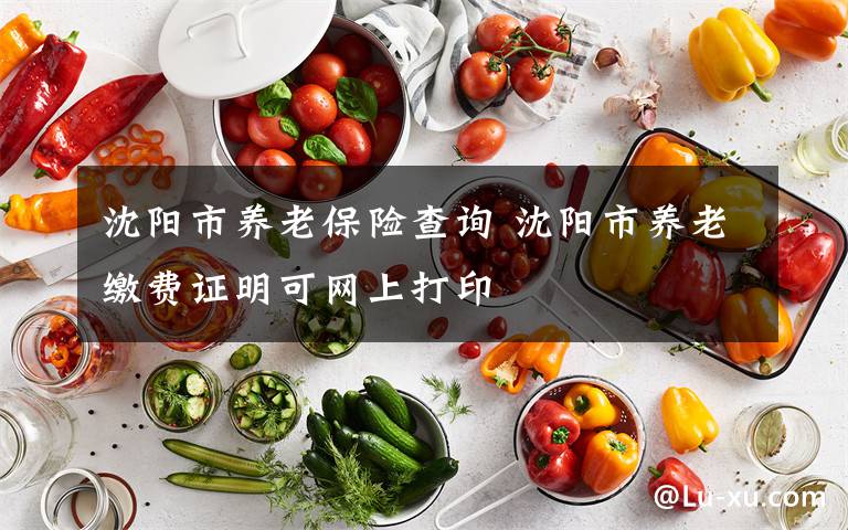 沈陽(yáng)市養(yǎng)老保險(xiǎn)查詢 沈陽(yáng)市養(yǎng)老繳費(fèi)證明可網(wǎng)上打印