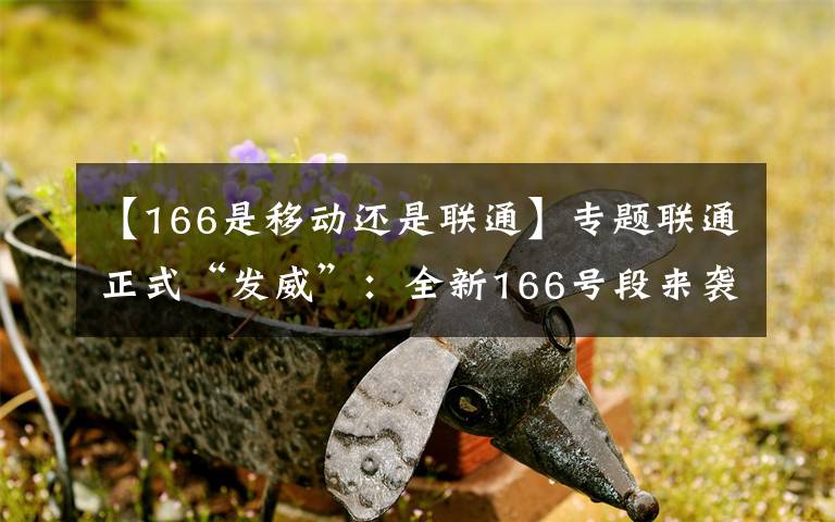 【166是移動(dòng)還是聯(lián)通】專題聯(lián)通正式“發(fā)威”：全新166號(hào)段來(lái)襲 網(wǎng)友：100元拿靚號(hào)真親民