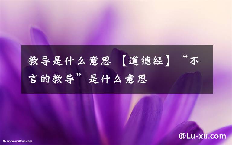 教導(dǎo)是什么意思 【道德經(jīng)】“不言的教導(dǎo)”是什么意思