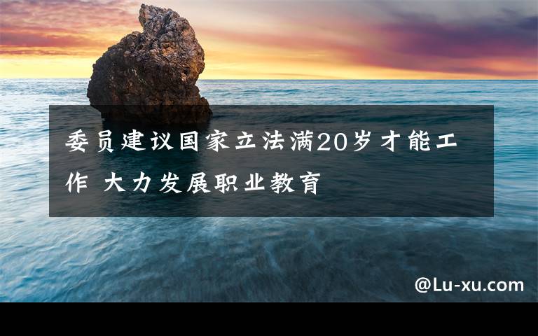 委員建議國(guó)家立法滿20歲才能工作 大力發(fā)展職業(yè)教育