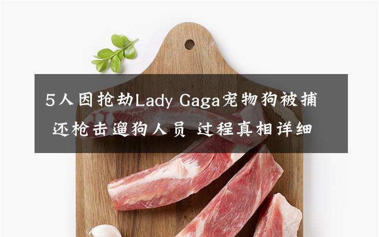 5人因搶劫Lady Gaga寵物狗被捕 還槍擊遛狗人員 過程真相詳細揭秘！