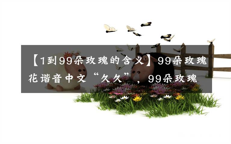 【1到99朵玫瑰的含義】99朵玫瑰花諧音中文“久久”，99朵玫瑰代表什么