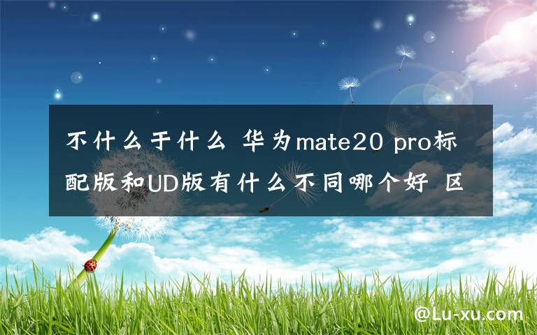 不什么于什么 華為mate20 pro標配版和UD版有什么不同哪個好 區(qū)別介紹