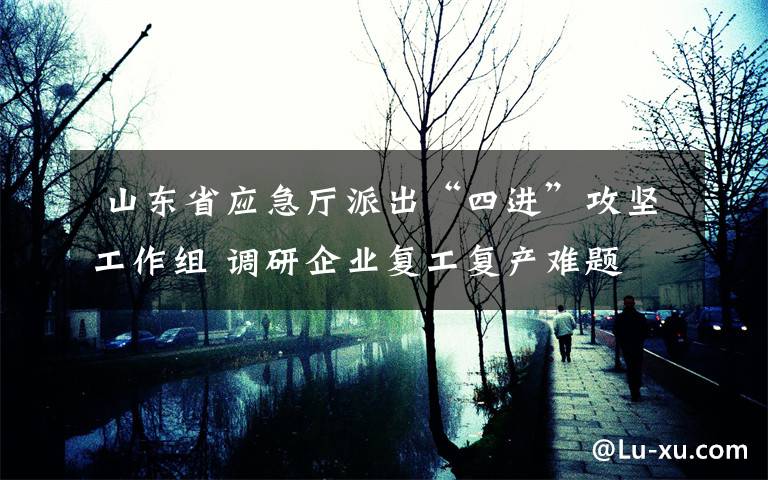  山東省應(yīng)急廳派出“四進(jìn)”攻堅工作組 調(diào)研企業(yè)復(fù)工復(fù)產(chǎn)難題