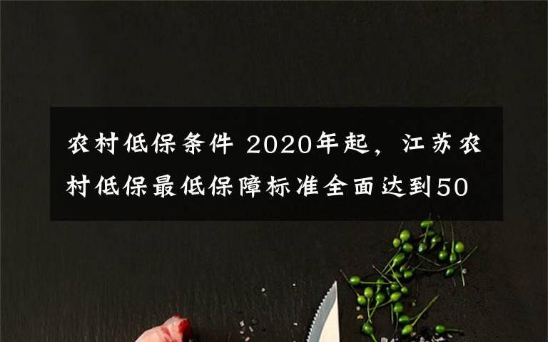 農(nóng)村低保條件 2020年起，江蘇農(nóng)村低保最低保障標(biāo)準(zhǔn)全面達(dá)到500元/月