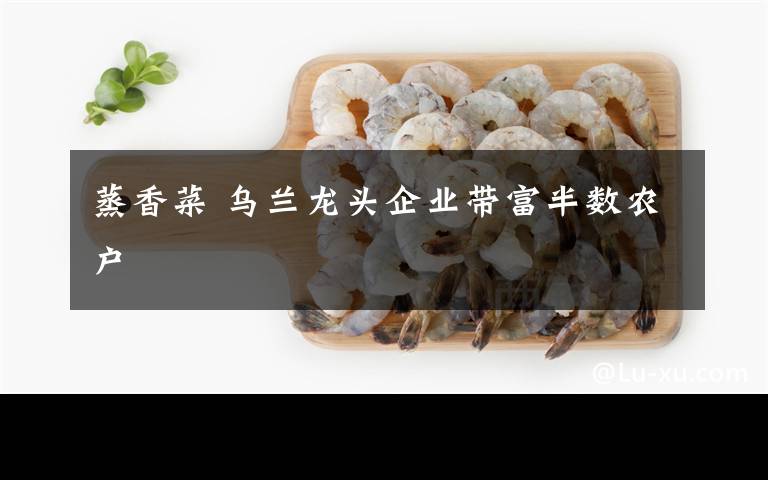 蒸香菜 烏蘭龍頭企業(yè)帶富半數(shù)農(nóng)戶