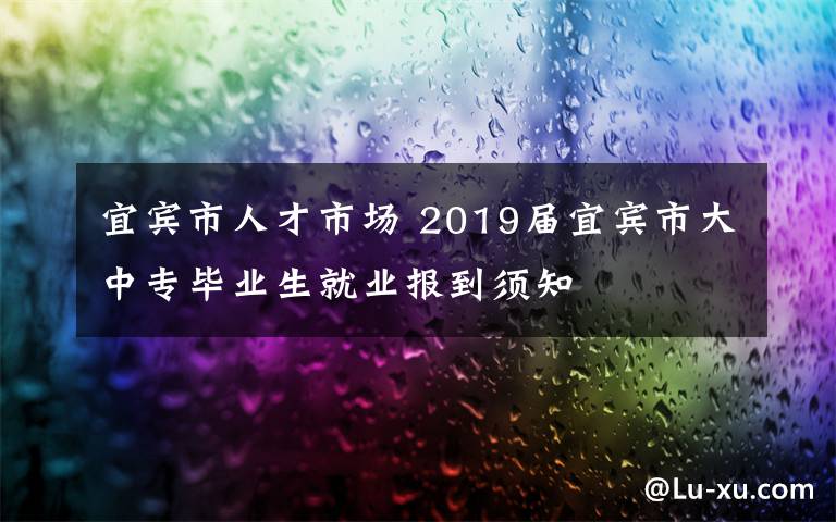 宜賓市人才市場 2019屆宜賓市大中專畢業(yè)生就業(yè)報到須知