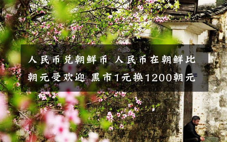 人民幣兌朝鮮幣 人民幣在朝鮮比朝元受歡迎 黑市1元換1200朝元